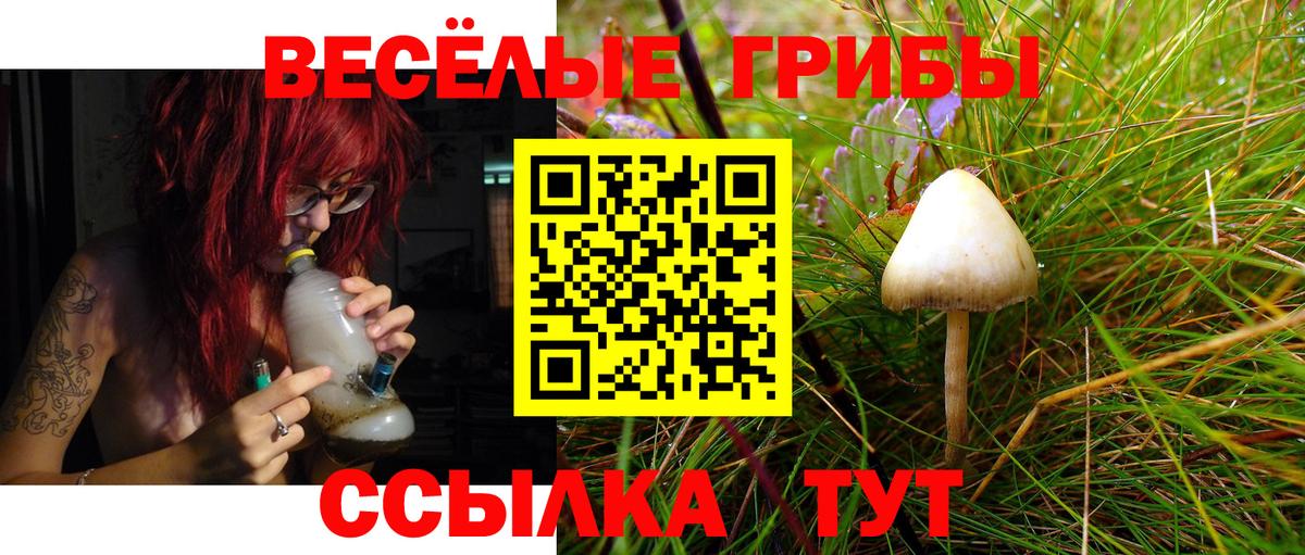 Черкесск  Псилоцибиновые грибы MAGIC MUSHROOMS  Псилоцибиновые грибы мицелий  наркота  Вход с VPN 