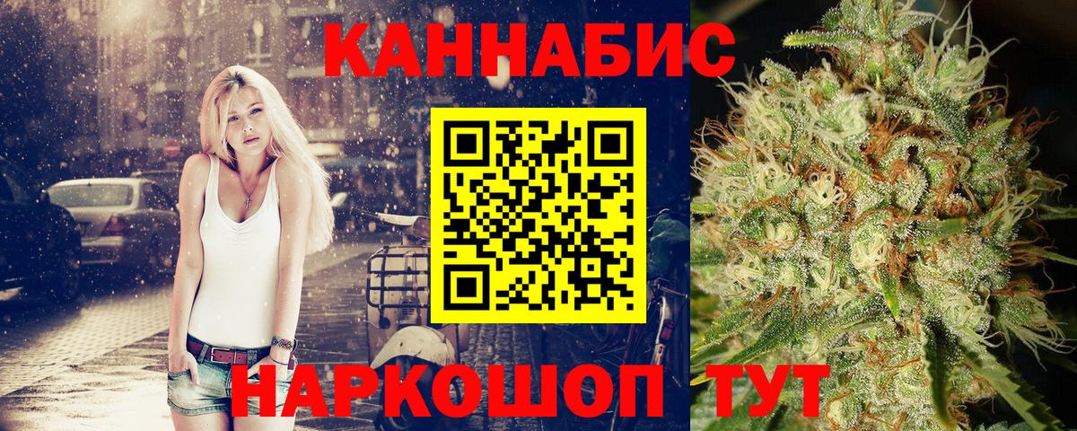 Бошки Шишки White Widow  Канабис ГИДРОПОН  Вход с VPN  Шишки марихуана конопля  Канабис тримм  Черкесск 